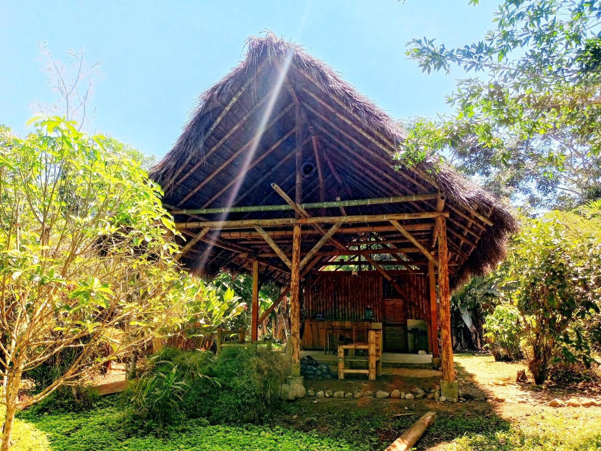 Cabanas Awana Río Arajuno Esterno foto