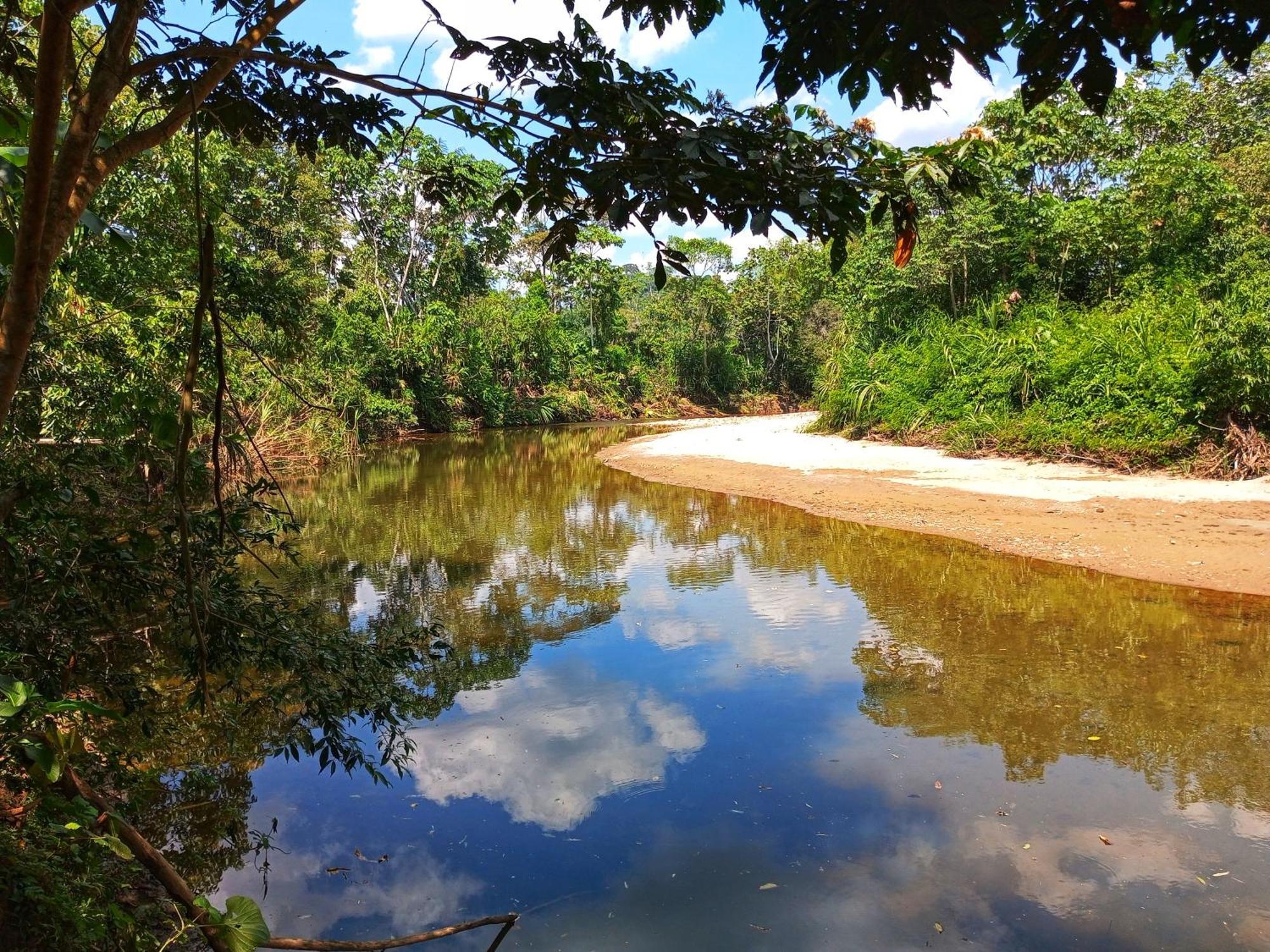 Cabanas Awana Río Arajuno Esterno foto