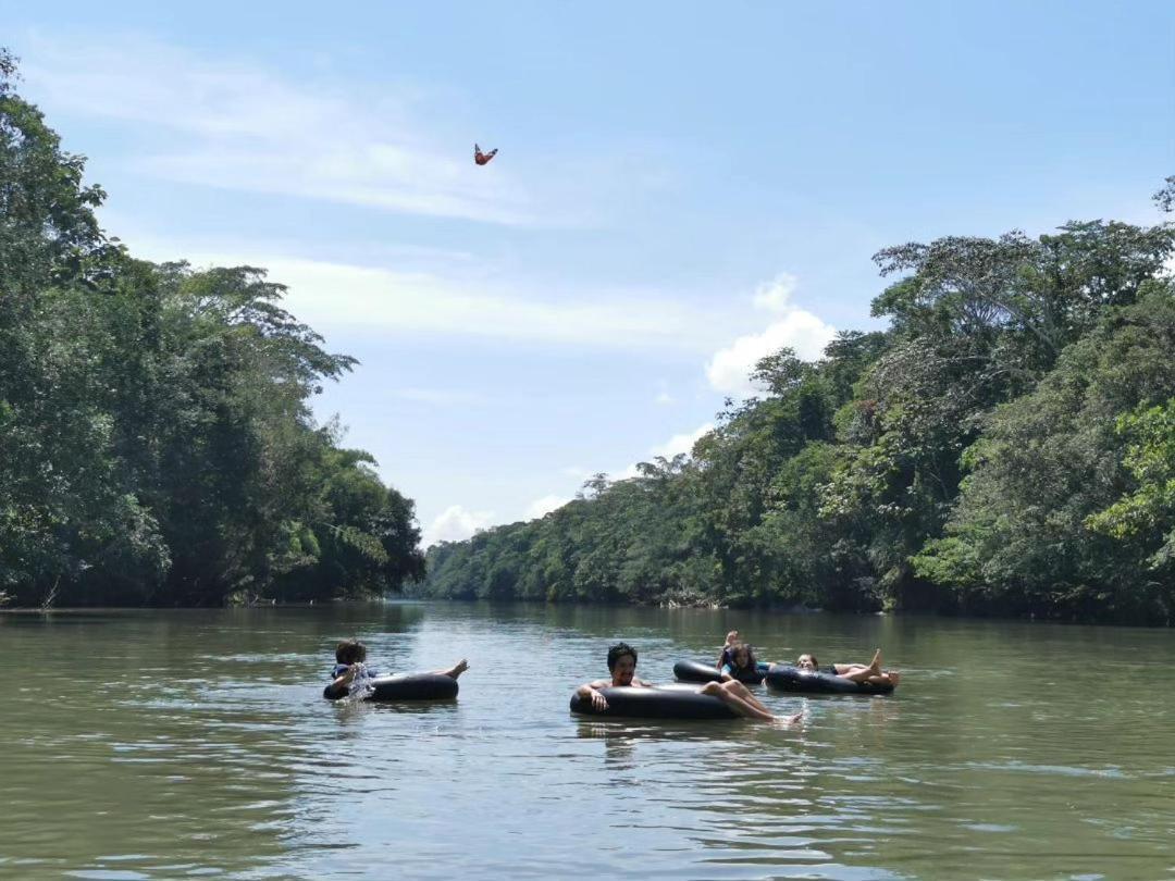 Cabanas Awana Río Arajuno Esterno foto